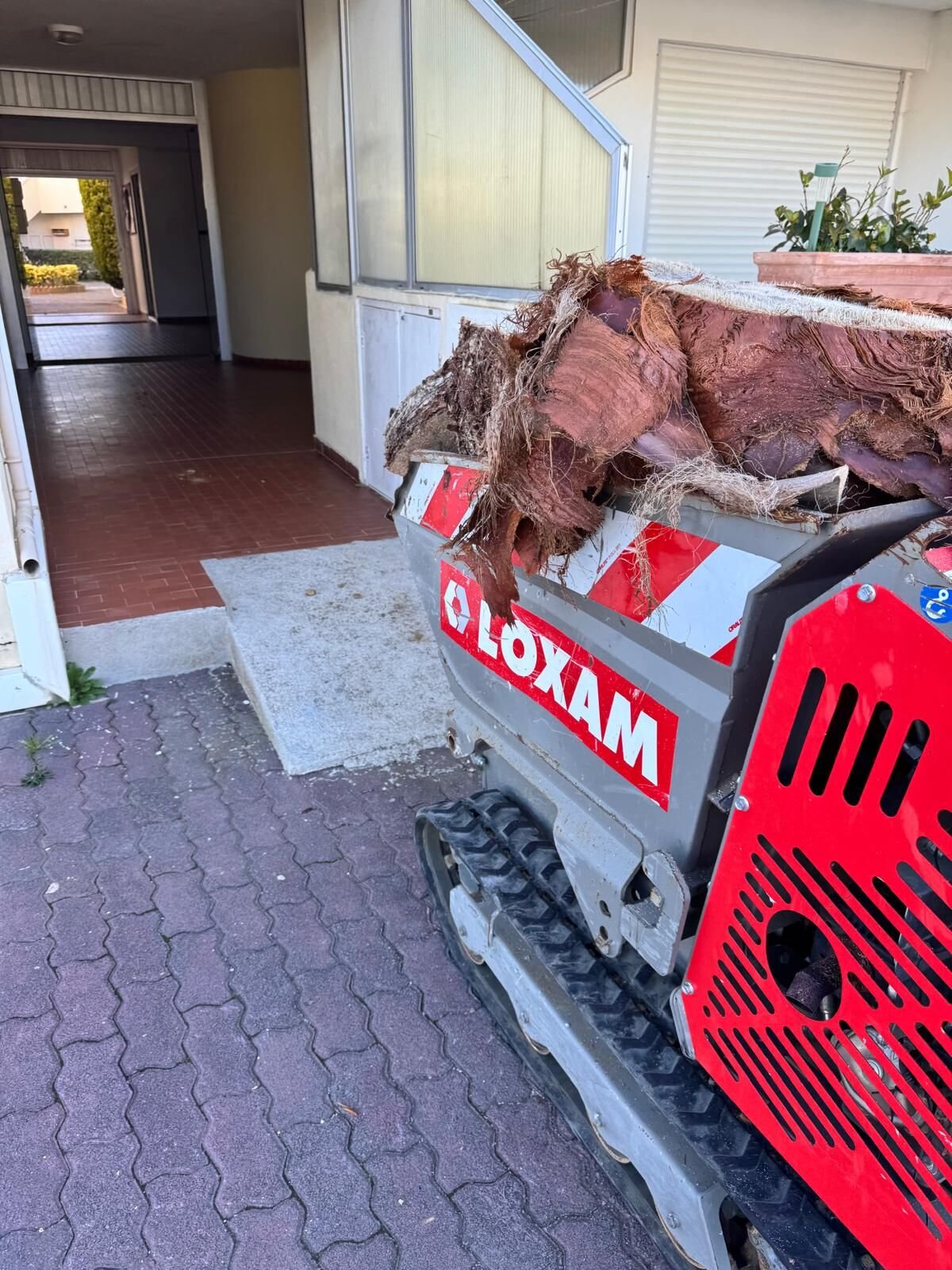Mini-dumper chenillé chargé de billes de palmier devant le hall de l'immeuble
