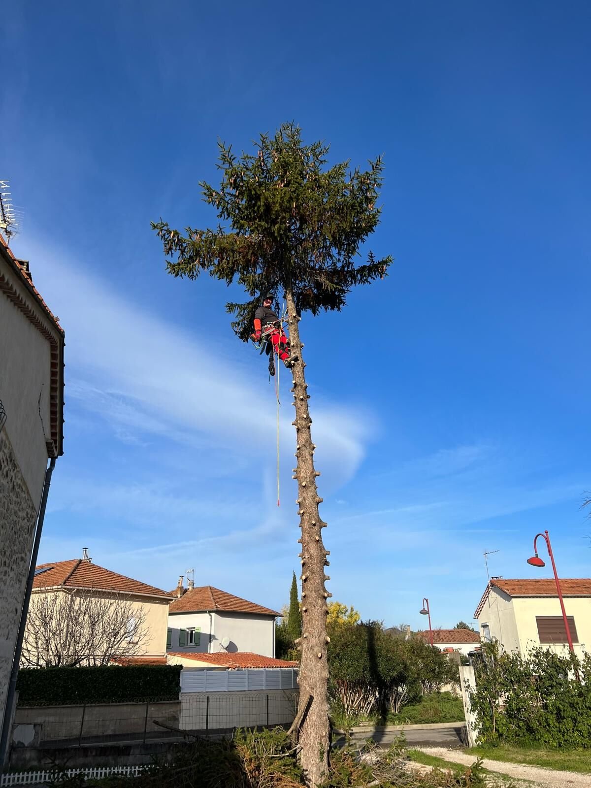 Démontage d'un grand conifère par sections entre deux habitations de village