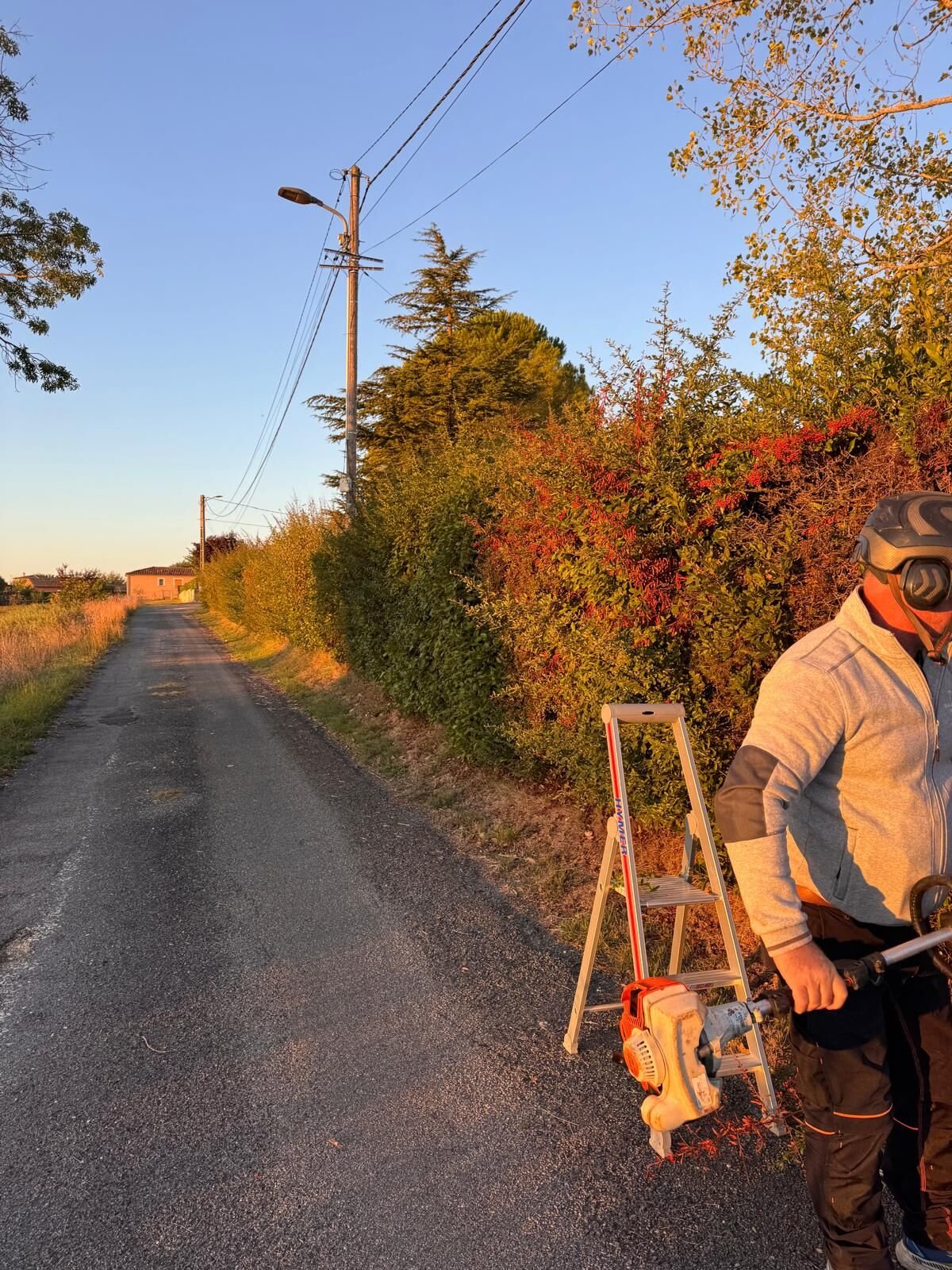 Haie de bord de route envahissante avant intervention, opérateur au taille-haie thermique
