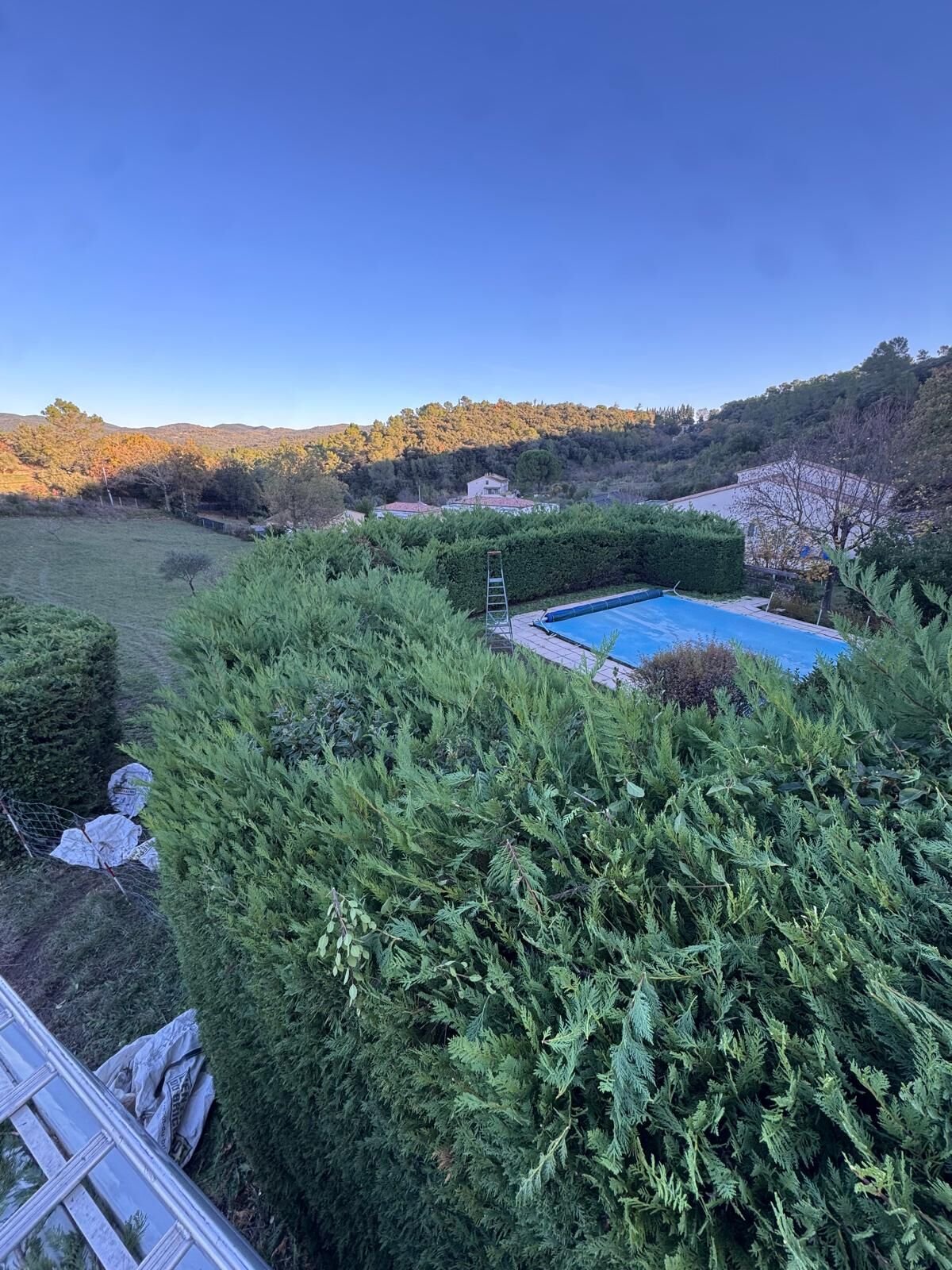 Haie de cyprès trop haute masquant la piscine et la vue sur la vallée